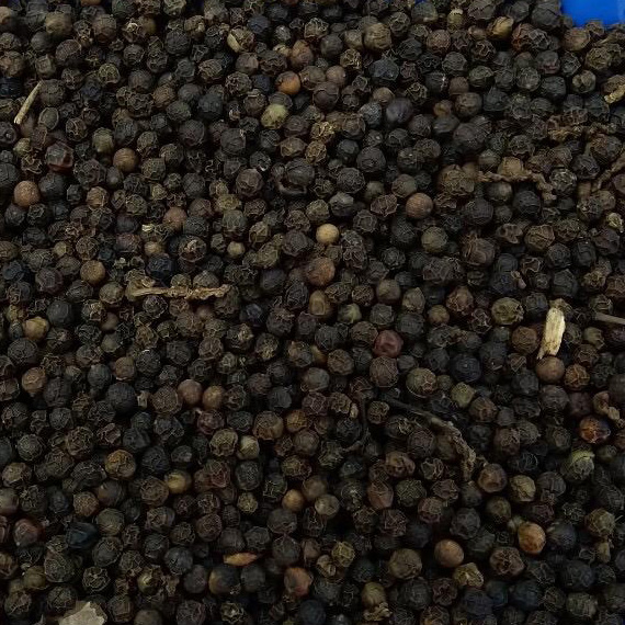BLACK PEPPER 550 G/L FAQ