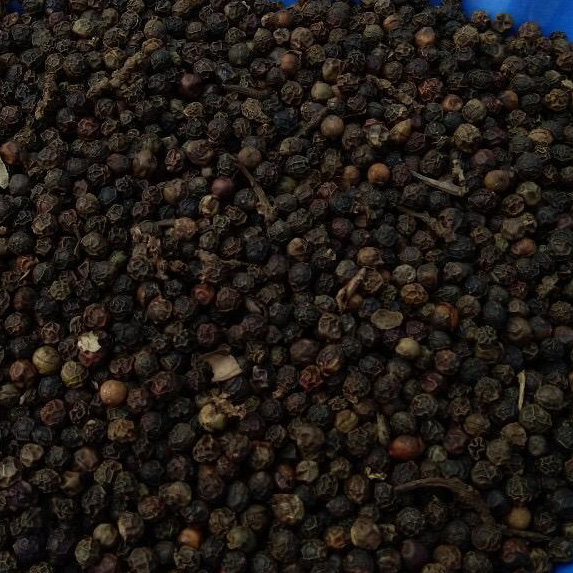 BLACK PEPPER 570 G/L FAQ