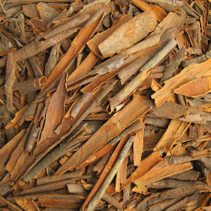 BROKEN CASSIA