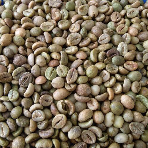 ROBUSTA COFFEE GRADE 1 SCR 18 CLEAN