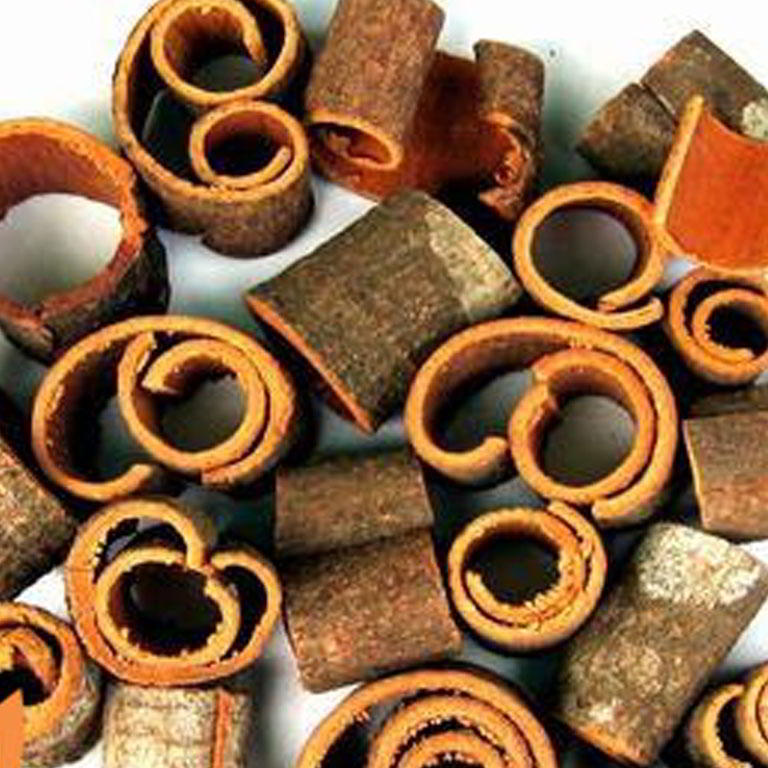 ROUND CUT CASSIA WITH SKIN