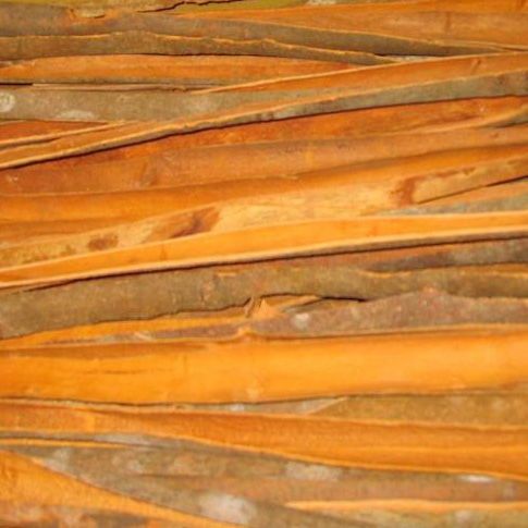 SPLIT CASSIA