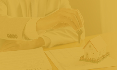 Werise Solutions - Quản lý tài sản