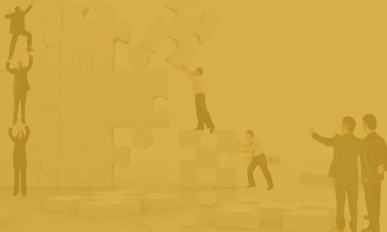 Werise Solutions - Tái cấu trúc doanh nghiệp