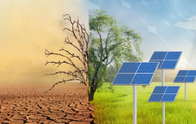 Năng Lượng Mặt Trời: Giải Pháp Then Chốt Trong Cuộc Chiến Chống Biến Đổi Khí Hậu