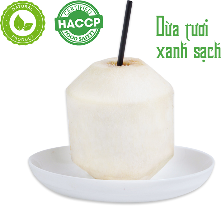 Coconut Banner