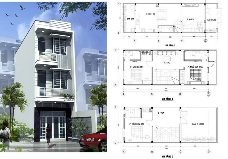 Vì sao nên chọn dịch vụ thi công nhà phố trọn gói tại An Cư?