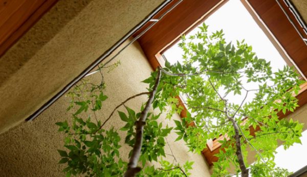 Một số lưu ý khi thiết kế biệt thự mini