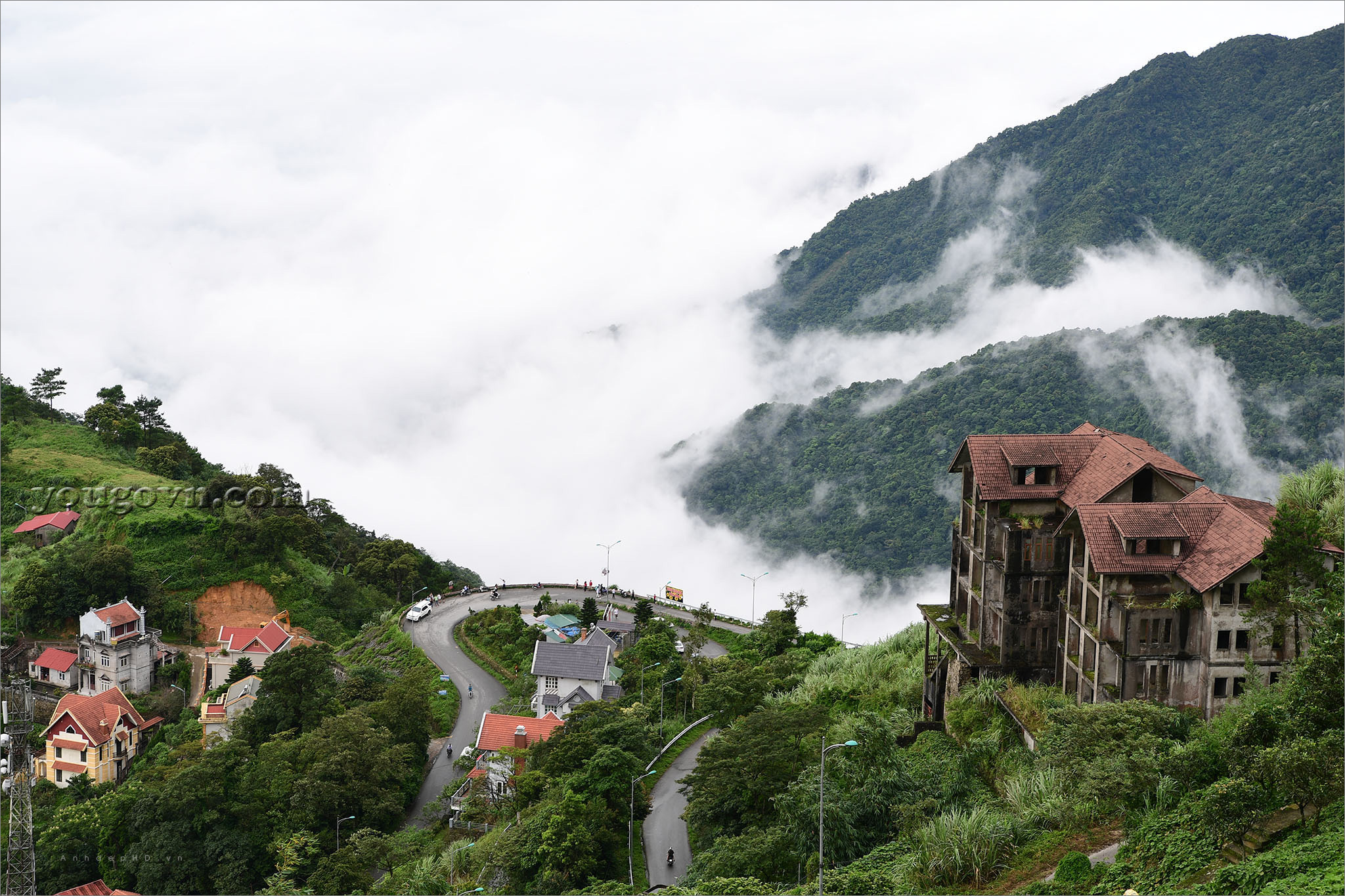 Du lịch Tam Đảo nên đi mùa nào đẹp nhất?