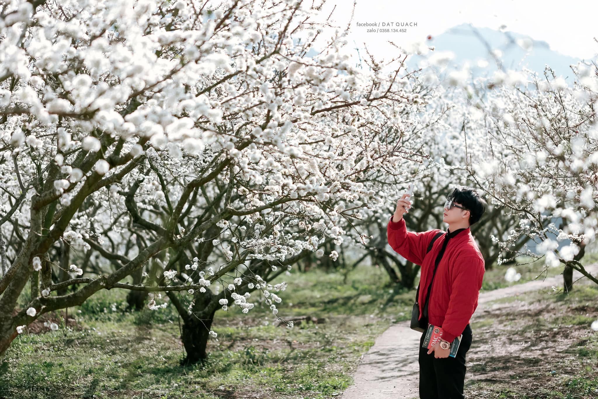 TOUR MỘC CHÂU MÙA HOA MẬN TRẮNG 2N1Đ